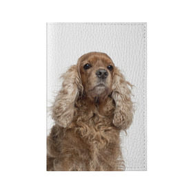 Обложка для паспорта матовая кожа с принтом Английский кокер-спаниель в Новосибирске, натуральная матовая кожа | размер 19,3 х 13,7 см; прозрачные пластиковые крепления | английский кокер спаниель | порода | собака