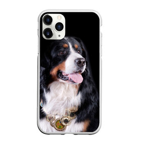 Чехол для iPhone 11 Pro матовый с принтом Бернский зенненхунд в Новосибирске, Силикон |  | бернский зенненхунд | животное | порода | собака