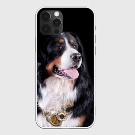 Чехол для iPhone 12 Pro Max с принтом Бернский зенненхунд в Новосибирске, Силикон |  | Тематика изображения на принте: бернский зенненхунд | животное | порода | собака