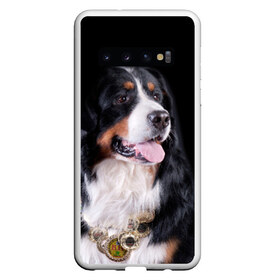 Чехол для Samsung Galaxy S10 с принтом Бернский зенненхунд в Новосибирске, Силикон | Область печати: задняя сторона чехла, без боковых панелей | бернский зенненхунд | животное | порода | собака