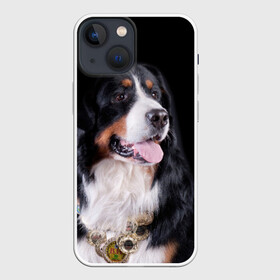 Чехол для iPhone 13 mini с принтом Бернский зенненхунд в Новосибирске,  |  | Тематика изображения на принте: бернский зенненхунд | животное | порода | собака
