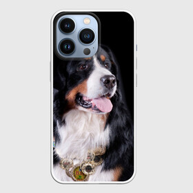 Чехол для iPhone 13 Pro с принтом Бернский зенненхунд в Новосибирске,  |  | Тематика изображения на принте: бернский зенненхунд | животное | порода | собака