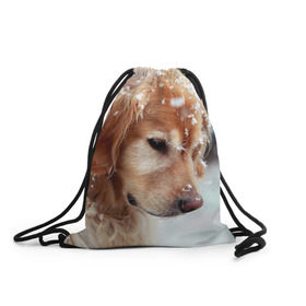 Рюкзак-мешок 3D с принтом Золотистый ретривер в Новосибирске, 100% полиэстер | плотность ткани — 200 г/м2, размер — 35 х 45 см; лямки — толстые шнурки, застежка на шнуровке, без карманов и подкладки | животное | золотистый ретривер | порода | собака