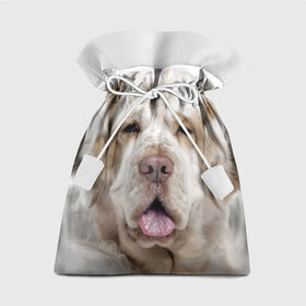 Подарочный 3D мешок с принтом Кламбер-спаниель в Новосибирске, 100% полиэстер | Размер: 29*39 см | Тематика изображения на принте: животное | кламбер спаниель | порода | собака