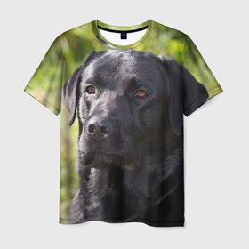 Мужская футболка 3D с принтом Лабрадор в Новосибирске, 100% полиэфир | прямой крой, круглый вырез горловины, длина до линии бедер | животное | лабрадор | порода | собака