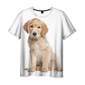Мужская футболка 3D с принтом Золотистый ретривер в Новосибирске, 100% полиэфир | прямой крой, круглый вырез горловины, длина до линии бедер | животное | золотистый ретривер | порода | собака
