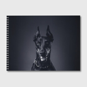 Альбом для рисования с принтом Доберман в Новосибирске, 100% бумага
 | матовая бумага, плотность 200 мг. | доберман | животное | порода | собака