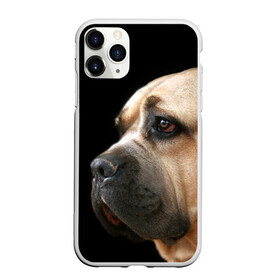 Чехол для iPhone 11 Pro Max матовый с принтом Канне корсо в Новосибирске, Силикон |  | Тематика изображения на принте: животное | канне корсо | порода | собака