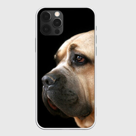 Чехол для iPhone 12 Pro Max с принтом Канне корсо в Новосибирске, Силикон |  | Тематика изображения на принте: животное | канне корсо | порода | собака