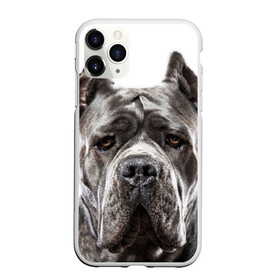 Чехол для iPhone 11 Pro матовый с принтом Канне корсо в Новосибирске, Силикон |  | Тематика изображения на принте: животное | канне корсо | порода | собака