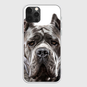 Чехол для iPhone 12 Pro Max с принтом Канне корсо в Новосибирске, Силикон |  | Тематика изображения на принте: животное | канне корсо | порода | собака