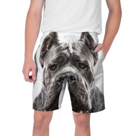 Мужские шорты 3D с принтом Канне корсо в Новосибирске,  полиэстер 100% | прямой крой, два кармана без застежек по бокам. Мягкая трикотажная резинка на поясе, внутри которой широкие завязки. Длина чуть выше колен | Тематика изображения на принте: животное | канне корсо | порода | собака