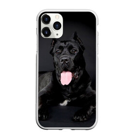 Чехол для iPhone 11 Pro матовый с принтом Канне корсо в Новосибирске, Силикон |  | Тематика изображения на принте: животное | канне корсо | порода | собака