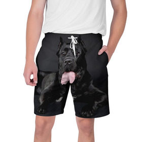 Мужские шорты 3D с принтом Канне корсо в Новосибирске,  полиэстер 100% | прямой крой, два кармана без застежек по бокам. Мягкая трикотажная резинка на поясе, внутри которой широкие завязки. Длина чуть выше колен | животное | канне корсо | порода | собака