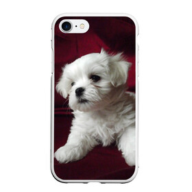 Чехол для iPhone 7/8 матовый с принтом Мальтийская болонка в Новосибирске, Силикон | Область печати: задняя сторона чехла, без боковых панелей | Тематика изображения на принте: животное | мальтийская болонка | порода | собака