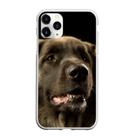 Чехол для iPhone 11 Pro матовый с принтом Леонбергер в Новосибирске, Силикон |  | животное | леонбергер | порода | собака