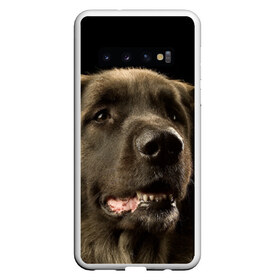 Чехол для Samsung Galaxy S10 с принтом Леонбергер в Новосибирске, Силикон | Область печати: задняя сторона чехла, без боковых панелей | животное | леонбергер | порода | собака