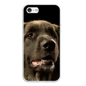 Чехол для iPhone 5/5S матовый с принтом Леонбергер в Новосибирске, Силикон | Область печати: задняя сторона чехла, без боковых панелей | животное | леонбергер | порода | собака