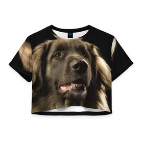 Женская футболка 3D укороченная с принтом Леонбергер в Новосибирске, 100% полиэстер | круглая горловина, длина футболки до линии талии, рукава с отворотами | животное | леонбергер | порода | собака