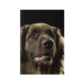Обложка для паспорта матовая кожа с принтом Леонбергер в Новосибирске, натуральная матовая кожа | размер 19,3 х 13,7 см; прозрачные пластиковые крепления | Тематика изображения на принте: животное | леонбергер | порода | собака