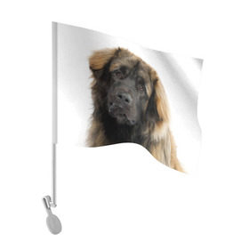 Флаг для автомобиля с принтом Леонбергер в Новосибирске, 100% полиэстер | Размер: 30*21 см | животное | леонбергер | порода | собака