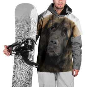 Накидка на куртку 3D с принтом Леонбергер в Новосибирске, 100% полиэстер |  | Тематика изображения на принте: животное | леонбергер | порода | собака