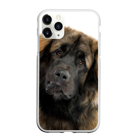 Чехол для iPhone 11 Pro матовый с принтом Леонбергер в Новосибирске, Силикон |  | животное | леонбергер | порода | собака