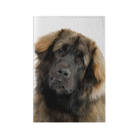 Обложка для паспорта матовая кожа с принтом Леонбергер в Новосибирске, натуральная матовая кожа | размер 19,3 х 13,7 см; прозрачные пластиковые крепления | животное | леонбергер | порода | собака