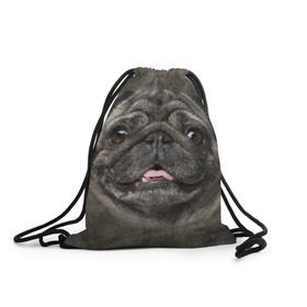 Рюкзак-мешок 3D с принтом Мопс в Новосибирске, 100% полиэстер | плотность ткани — 200 г/м2, размер — 35 х 45 см; лямки — толстые шнурки, застежка на шнуровке, без карманов и подкладки | Тематика изображения на принте: животное | мопс | порода | собака