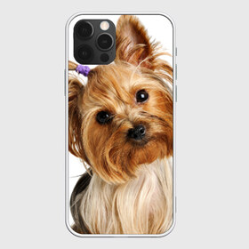Чехол для iPhone 12 Pro Max с принтом Йоркширский терьер в Новосибирске, Силикон |  | животное | йоркширский терьер | порода | собака