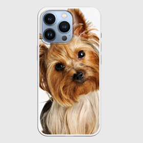 Чехол для iPhone 13 Pro с принтом Йоркширский терьер в Новосибирске,  |  | животное | йоркширский терьер | порода | собака