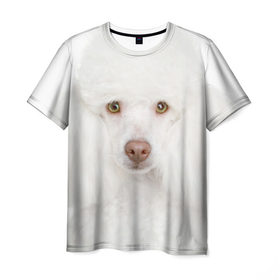 Мужская футболка 3D с принтом Белый пудель в Новосибирске, 100% полиэфир | прямой крой, круглый вырез горловины, длина до линии бедер | белый пудель | животное | порода | собака