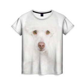 Женская футболка 3D с принтом Белый пудель в Новосибирске, 100% полиэфир ( синтетическое хлопкоподобное полотно) | прямой крой, круглый вырез горловины, длина до линии бедер | белый пудель | животное | порода | собака