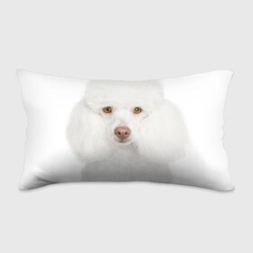 Подушка 3D антистресс с принтом Белый пудель в Новосибирске, наволочка — 100% полиэстер, наполнитель — вспененный полистирол | состоит из подушки и наволочки на молнии | белый пудель | животное | порода | собака