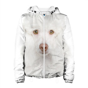 Женская куртка 3D с принтом Белый пудель в Новосибирске, ткань верха — 100% полиэстер, подклад — флис | прямой крой, подол и капюшон оформлены резинкой с фиксаторами, два кармана без застежек по бокам, один большой потайной карман на груди. Карман на груди застегивается на липучку | белый пудель | животное | порода | собака