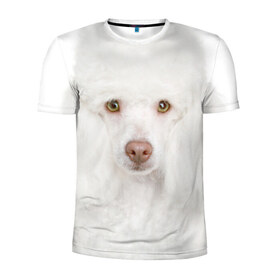 Мужская футболка 3D спортивная с принтом Белый пудель в Новосибирске, 100% полиэстер с улучшенными характеристиками | приталенный силуэт, круглая горловина, широкие плечи, сужается к линии бедра | белый пудель | животное | порода | собака