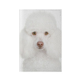 Обложка для паспорта матовая кожа с принтом Белый пудель в Новосибирске, натуральная матовая кожа | размер 19,3 х 13,7 см; прозрачные пластиковые крепления | Тематика изображения на принте: белый пудель | животное | порода | собака