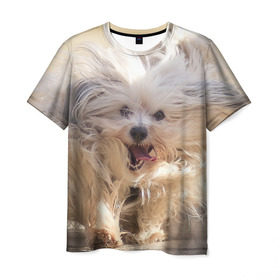 Мужская футболка 3D с принтом Мохнатая собака в Новосибирске, 100% полиэфир | прямой крой, круглый вырез горловины, длина до линии бедер | животное | мохнатая собака | порода | собака