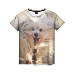 Женская футболка 3D с принтом Мохнатая собака в Новосибирске, 100% полиэфир ( синтетическое хлопкоподобное полотно) | прямой крой, круглый вырез горловины, длина до линии бедер | животное | мохнатая собака | порода | собака