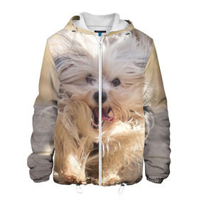 Мужская куртка 3D с принтом Мохнатая собака в Новосибирске, ткань верха — 100% полиэстер, подклад — флис | прямой крой, подол и капюшон оформлены резинкой с фиксаторами, два кармана без застежек по бокам, один большой потайной карман на груди. Карман на груди застегивается на липучку | животное | мохнатая собака | порода | собака