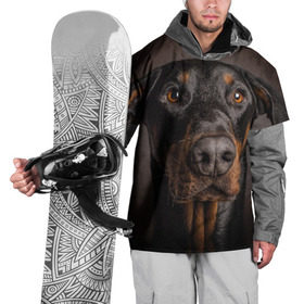 Накидка на куртку 3D с принтом Доберман в Новосибирске, 100% полиэстер |  | доберман | животное | порода | собака