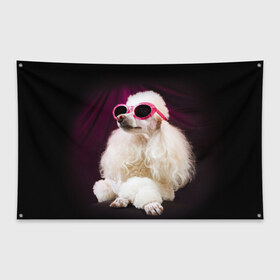 Флаг-баннер с принтом Пудель в очках в Новосибирске, 100% полиэстер | размер 67 х 109 см, плотность ткани — 95 г/м2; по краям флага есть четыре люверса для крепления | животное | порода | пудель в очках | собака