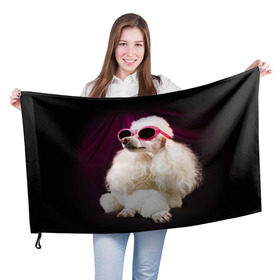 Флаг 3D с принтом Пудель в очках в Новосибирске, 100% полиэстер | плотность ткани — 95 г/м2, размер — 67 х 109 см. Принт наносится с одной стороны | Тематика изображения на принте: животное | порода | пудель в очках | собака