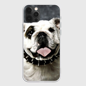 Чехол для iPhone 12 Pro Max с принтом Английский бульдог в Новосибирске, Силикон |  | Тематика изображения на принте: животное | порода | собака | французский бульдог