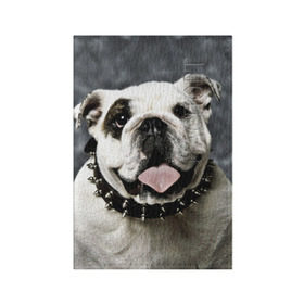 Обложка для паспорта матовая кожа с принтом Английский бульдог в Новосибирске, натуральная матовая кожа | размер 19,3 х 13,7 см; прозрачные пластиковые крепления | животное | порода | собака | французский бульдог