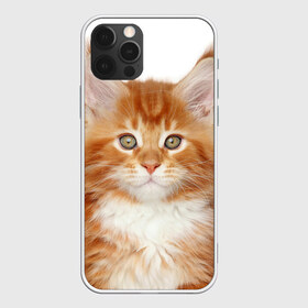 Чехол для iPhone 12 Pro Max с принтом Рыжий котенок в Новосибирске, Силикон |  | Тематика изображения на принте: животное | порода | рыжий котенок