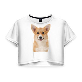 Женская футболка 3D укороченная с принтом Пемброк-вельш-корги в Новосибирске, 100% полиэстер | круглая горловина, длина футболки до линии талии, рукава с отворотами | животное | пемброк вельш корги | порода | собака