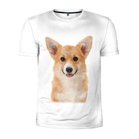Мужская футболка 3D спортивная с принтом Пемброк-вельш-корги в Новосибирске, 100% полиэстер с улучшенными характеристиками | приталенный силуэт, круглая горловина, широкие плечи, сужается к линии бедра | животное | пемброк вельш корги | порода | собака