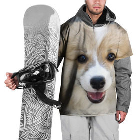 Накидка на куртку 3D с принтом Пемброк-вельш-корги, собака, п в Новосибирске, 100% полиэстер |  | животное | пемброк вельш корги | порода | собака