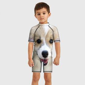 Детский купальный костюм 3D с принтом Пемброк-вельш-корги, собака, п в Новосибирске, Полиэстер 85%, Спандекс 15% | застежка на молнии на спине | животное | пемброк вельш корги | порода | собака